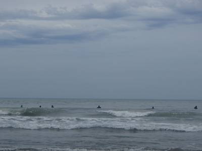 Mar del Plata - Surfeurs 1