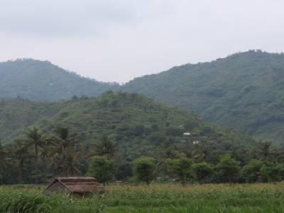 Magnifique paysage de Bali!