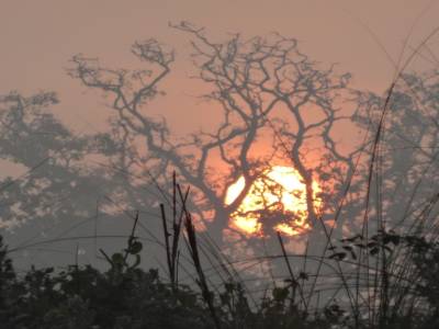 bardia national parc