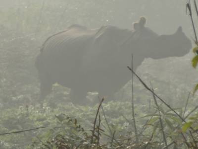 bardia national parc