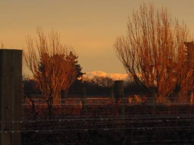 Christchurch