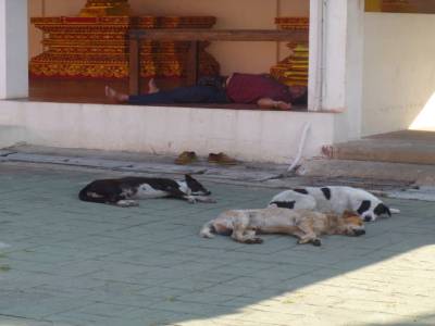 le repos des braves