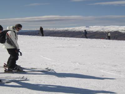 Cardrona