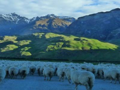 Rob Roy Glacier