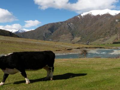 Queenstown