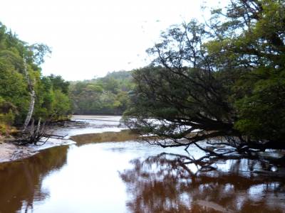 Stweart Island
