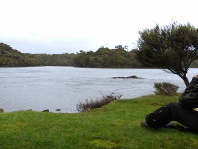 Stweart Island