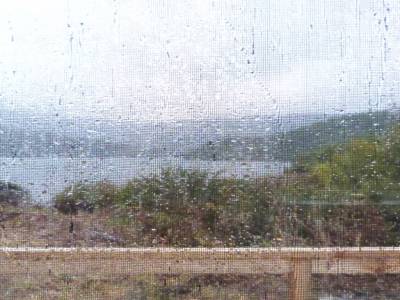 Stweart Island
