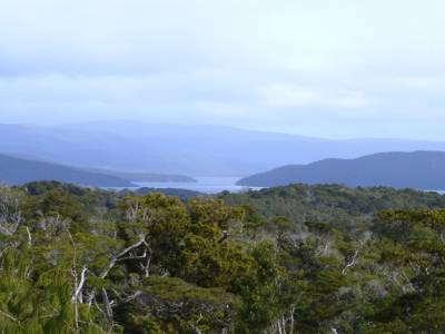 Stweart Island