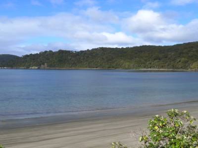 Stewart Island