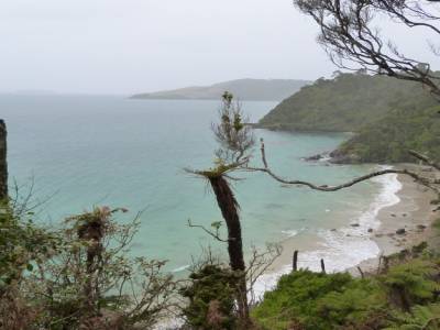 Stewart Island