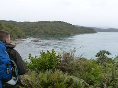 Stewart Island