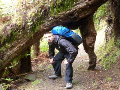 Stewart Island
