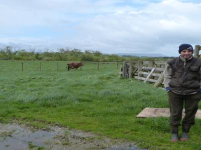 Edendale-cows farm