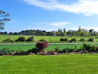 Edendale-cows farm