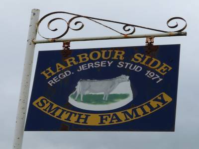 Edendale-cows farm