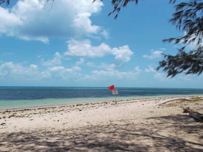Green Island