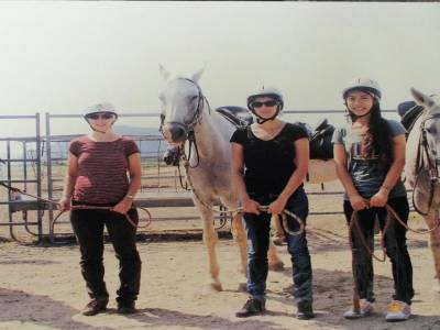 Sortie Cheval