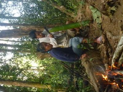 cuisine dans la jungle