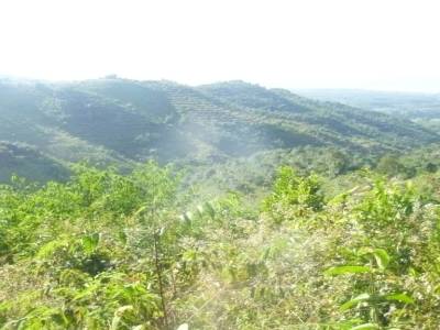 paysage