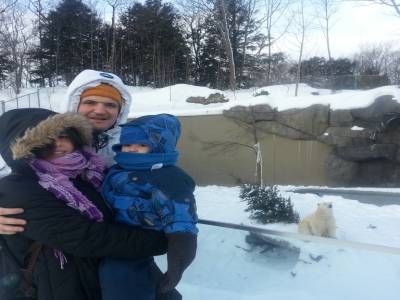 quel bel ours, n est-ce pas ???