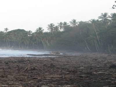 Cahuita Playa Negra