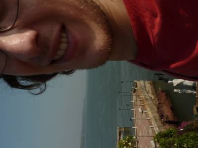 On y a pas vue de dauphins