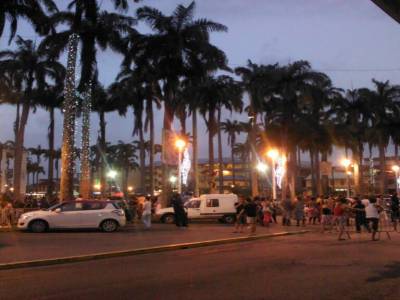place des palmistes
