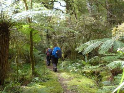 Holyford Track