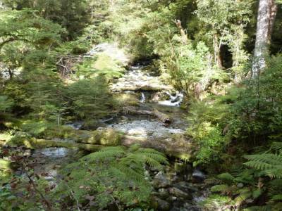 Holyford Track