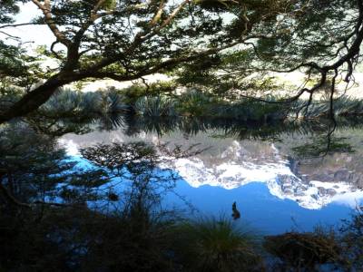 Holyford Track