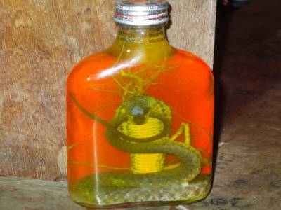 un ptit verre de wisky cobra pour arroser le retour...