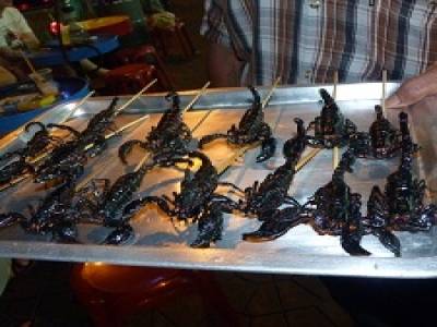 Scorpions