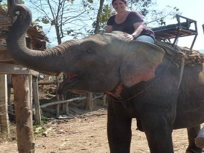 Ballade à Elephants
