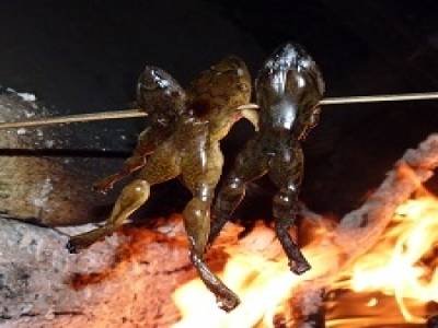 Grenouilles