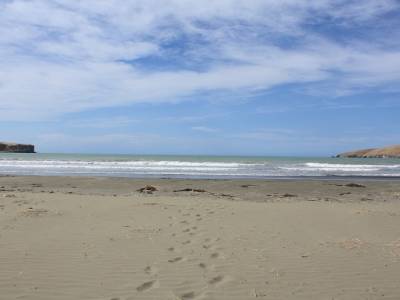 Okain's bay