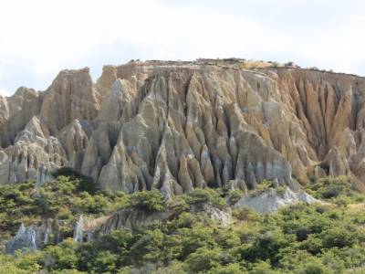 Clays Cliff
