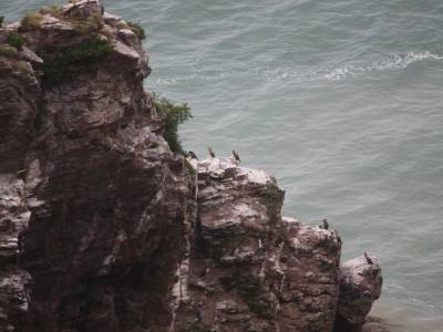 Nugget Point