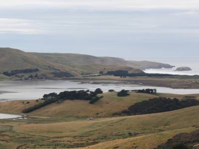Otago Peninsula, Dunedin