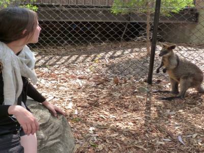 Toranga zoo