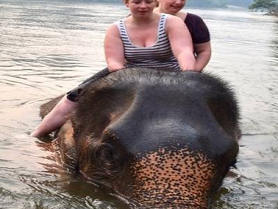 Bain avec les éléphants