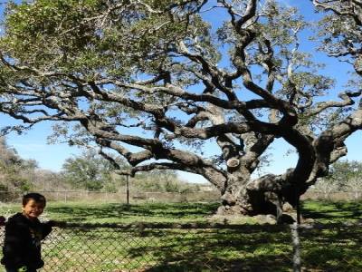 Goose Island State Park