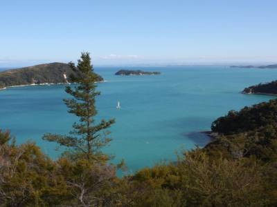 Abel Tasman