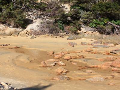 Abel Tasman