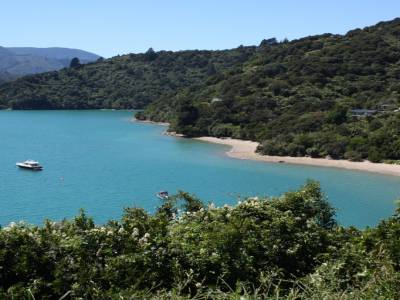 Les Marlborough