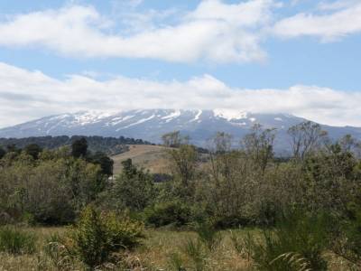 Ruapehu