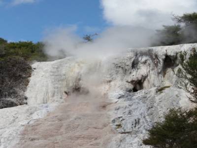 Orakei Kurako