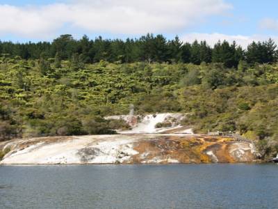 Orakei Kurako
