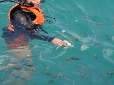 Une chinoise donnant à manger aux poissons