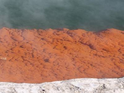 Wai O Tapu